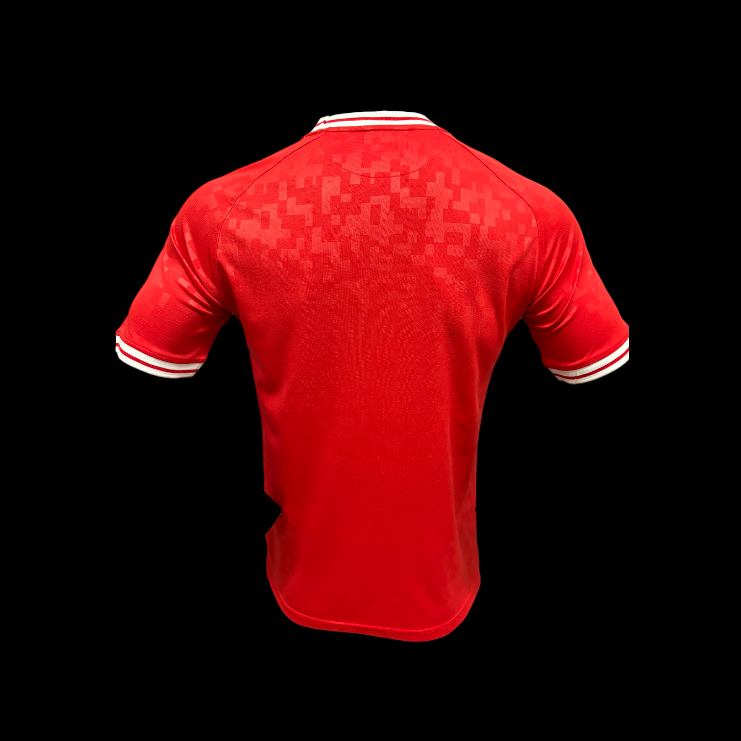 Danemark Maillot Domicile 2425 – Version Player - Vue 2